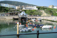 Ventnor harbour